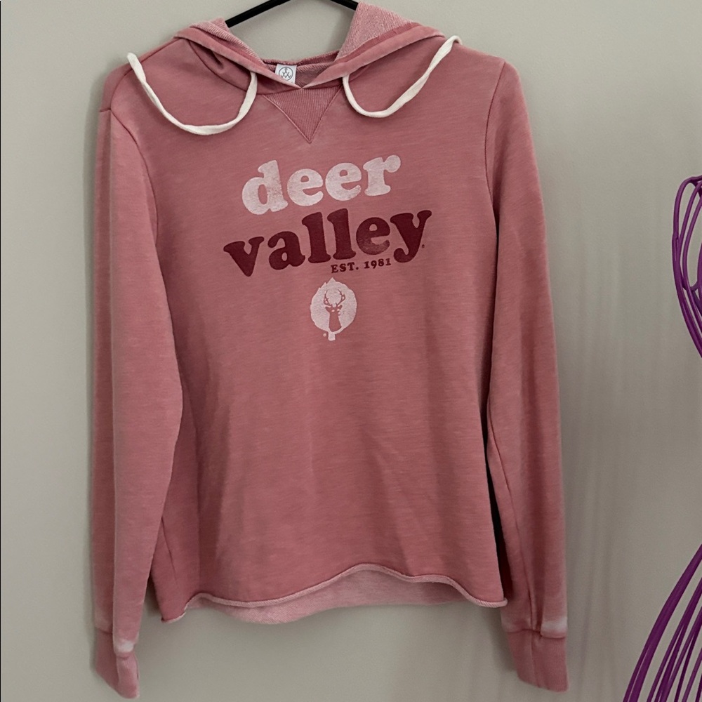 Alternative Soft Pink Knit Hoodie